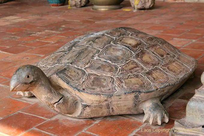 Steinschildkröte, Haw Phra Keo, Vientiane, Laos