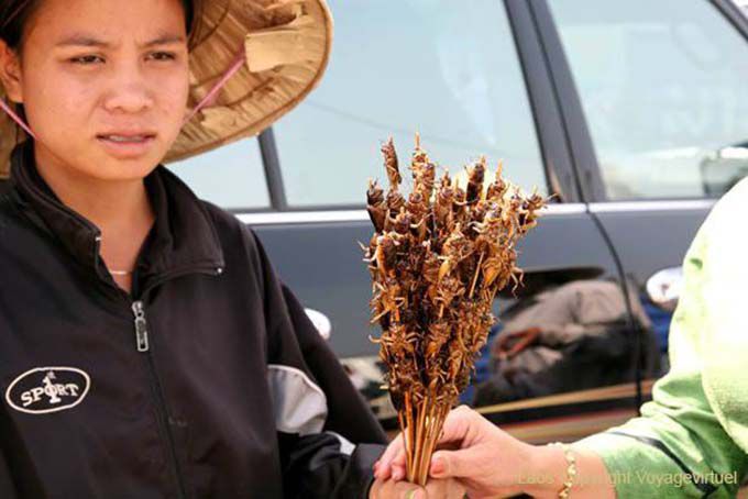 Frau verkauft frittierte Grashüpfer, Vat Phou, Laos