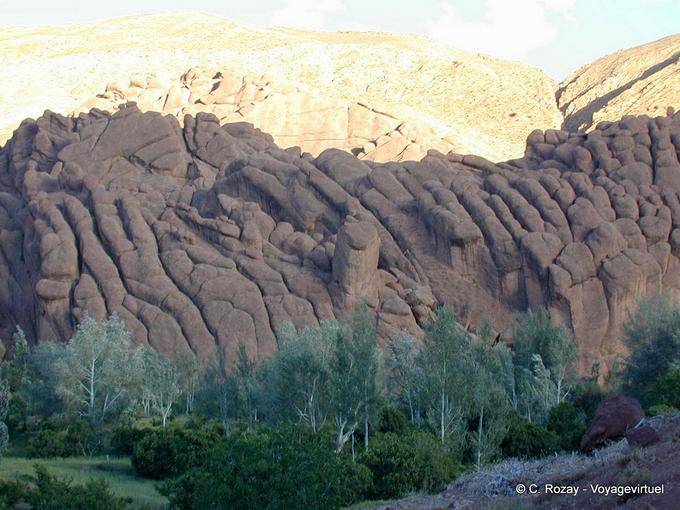 Affenfinger, Dades-Tal - Marokko
