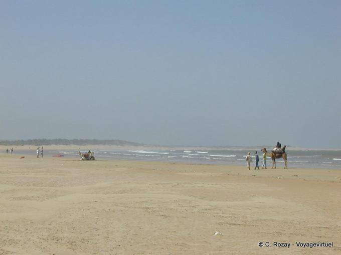 Essaouira, der Strand Tagharte - Marokko