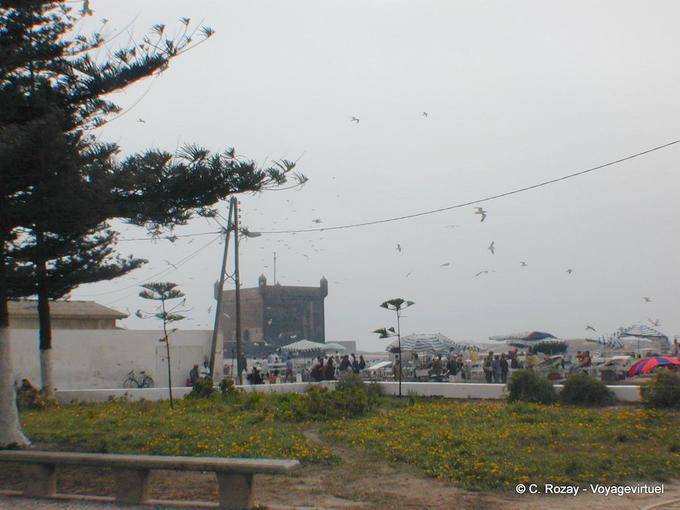 Die genuesische Zitadelle Blick von einem Garten, Essaouira - Marokko