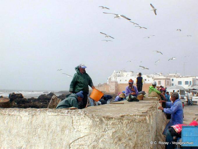 Essaouira, Segler Arbeiten am Hafen - Marokko