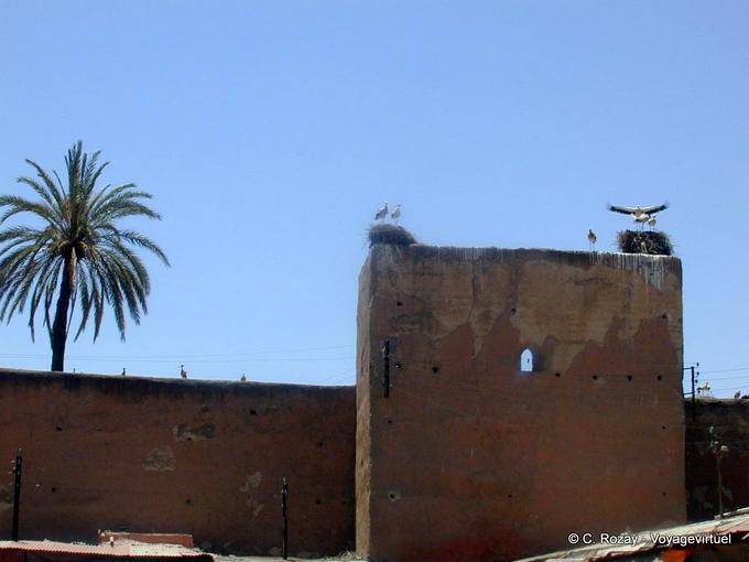 Störche auf den Wällen, Marrakesch verschachtelt - Marokko