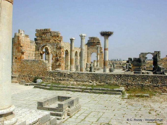 Panorama auf dem Kapitol, Volubilis - Marokko