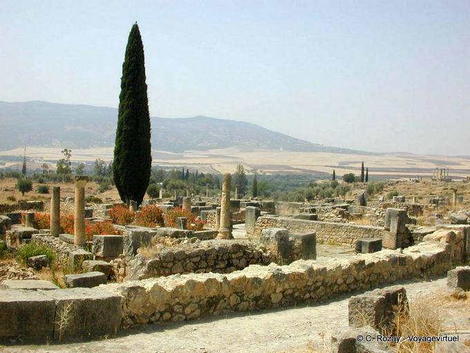 Landschaft, Volubilis - Marokko