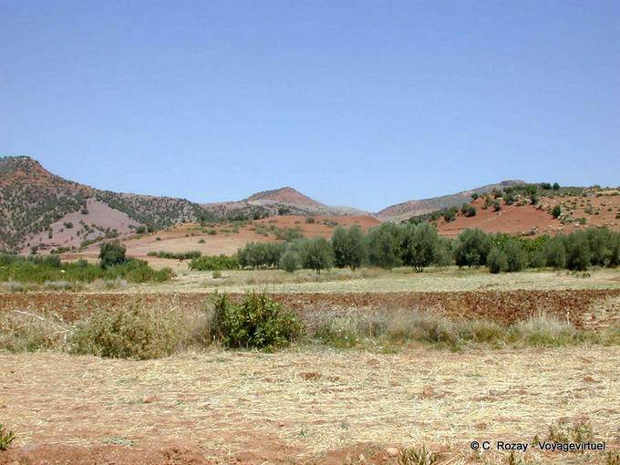 Kombinieren und Landschaft in der Region Ain Leuh - Marokko