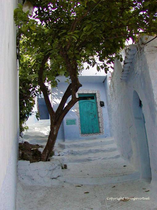 Orange auf der Treppe, Chefchaouen - Marokko