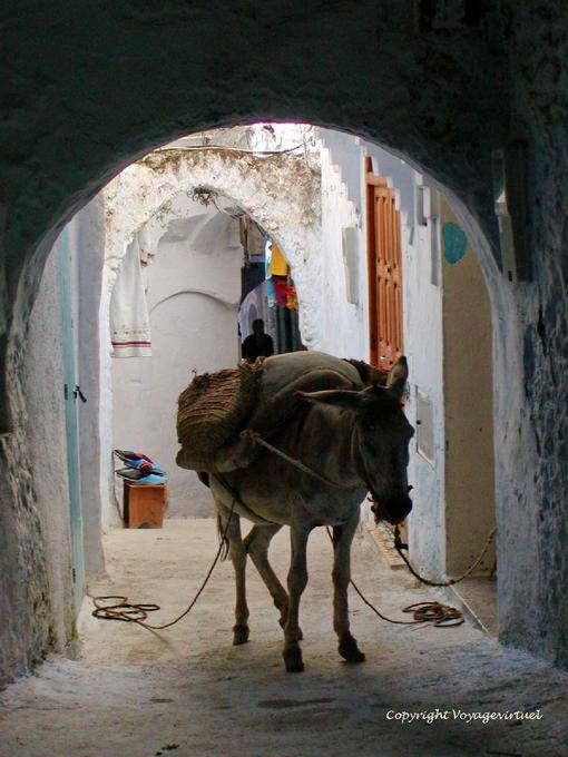 Esel in einer Gasse aufgebürdet, Medina, Chefchaouen - Marokko