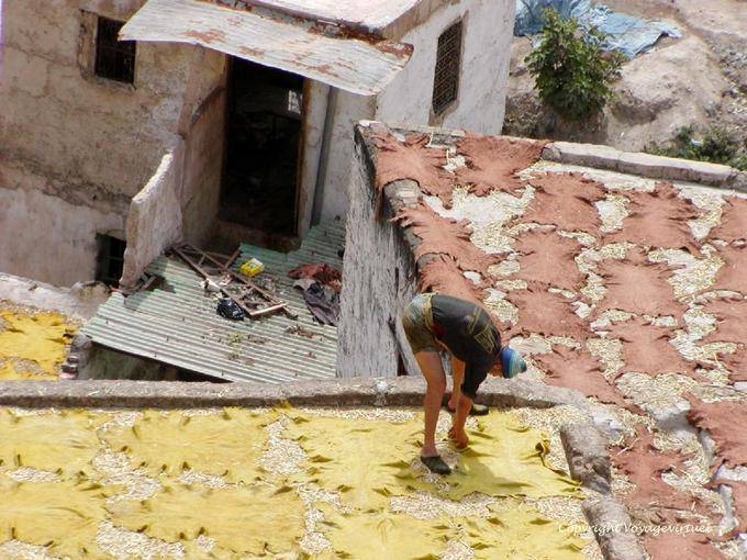 Das Austrocknen der Haut gegenüber der Sonne auf den Terrassen der Chouara, Fes - Marokko
