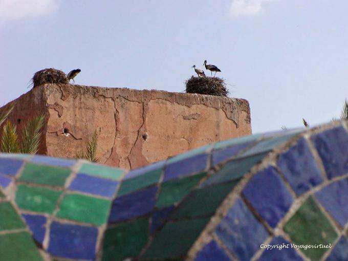 Storchennester auf eine Wand des Walls, Marrakesch - Marokko