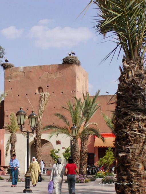 Störche an der Tür des Ortes Ferblantiers, Marrakesch - Marokko