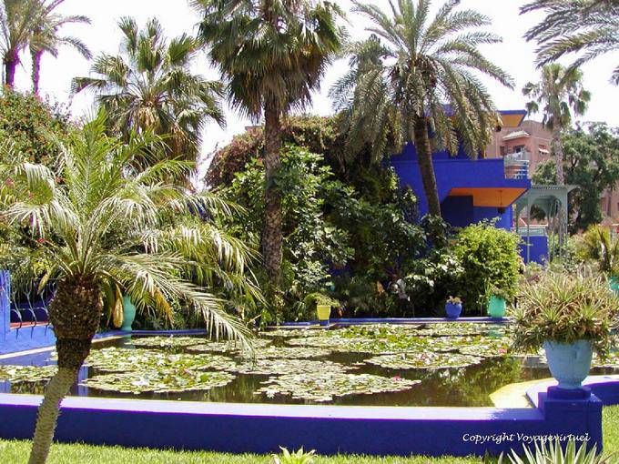 Pond Basin Lilie, Jardin Majorelle, Marrakesch - Marokko
