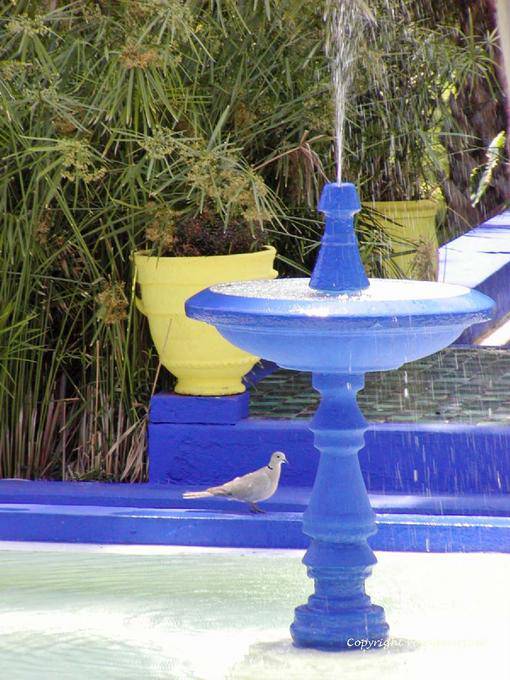 Die Taube und Brunnen, Jardin Majorelle, Marrakesch - Marokko