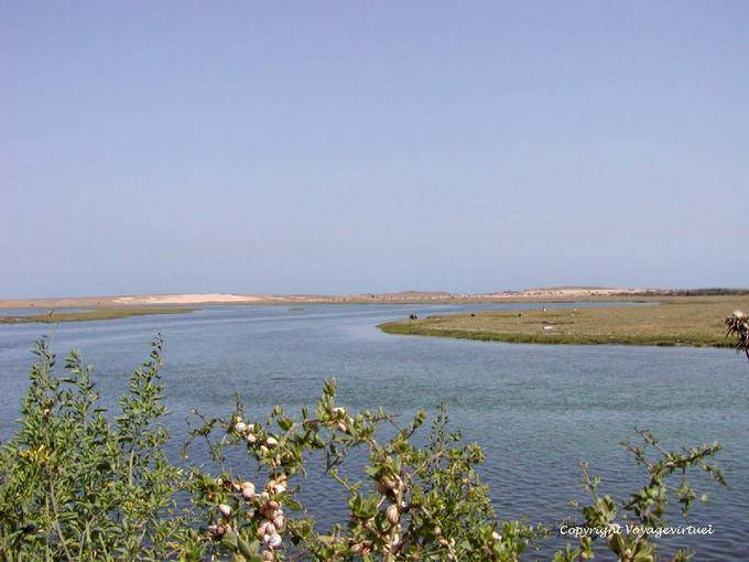 Schnecken, die Lagune und die Dünen in der Ferne Landschaft Oualidia - Marokko