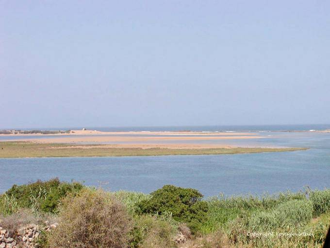 Informieren Sie sich über den Sand der Lagune, Oualidia - Marokko
