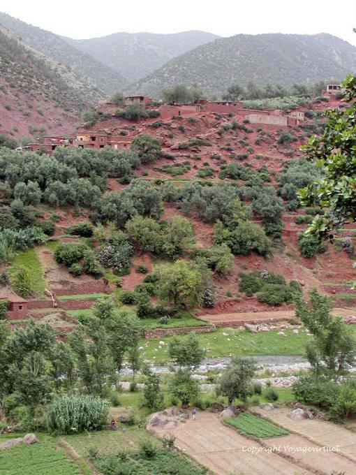 Kultur im Tal und Häuser auf dem Hügel, Ourika-Tal - Marokko