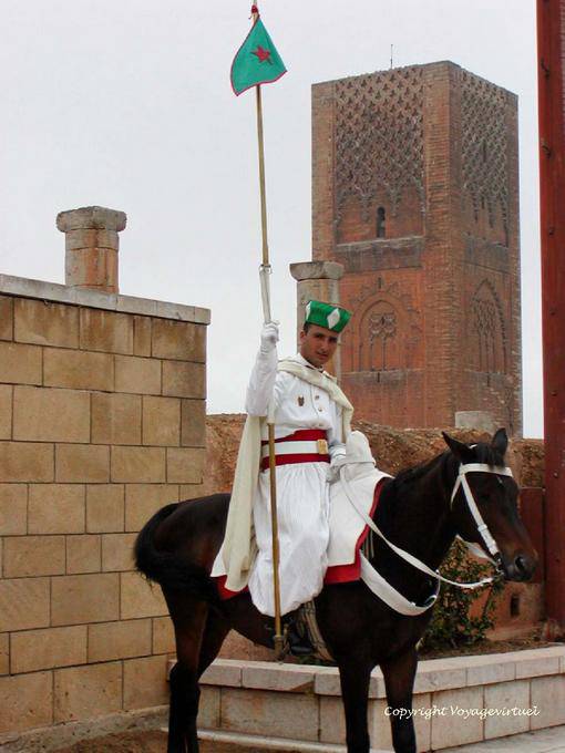 Pferd Wache an der Hassan-Turm, Rabat - Marokko