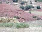 Farben von Kultur und Land um Khénifra, Marokko.