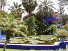 Pond Basin Lilie, Jardin Majorelle, Marrakesch, Marokko.