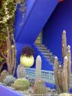 Blauer Engel und Kakteensammlung, Jardin Majorelle Marrakesch, Marokko.