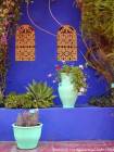 Farbkontrast, Jardin Majorelle, Marrakesch, Marokko.