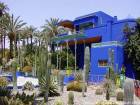 Kakteen Familie in die Berber Museum Jardin Majorelle, Marrakesch, Marokko.