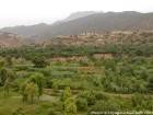 Kulturen und Village Taljerft über dem Wadi, Ourika, Marokko.