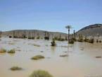 See durch die Wunder der regen in der Wüste nach Merzouga gebildet, Marokko.