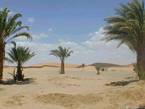 Merzouga, eines der Tore der Sahara, Marokko.