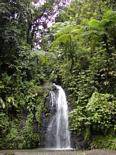 Der Wasserfall Saut Gendarme, Martinique.