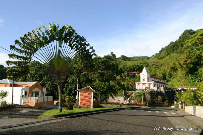 Ein Reisender Baum und die Kirche von Fonds Saint Denis - Martinique