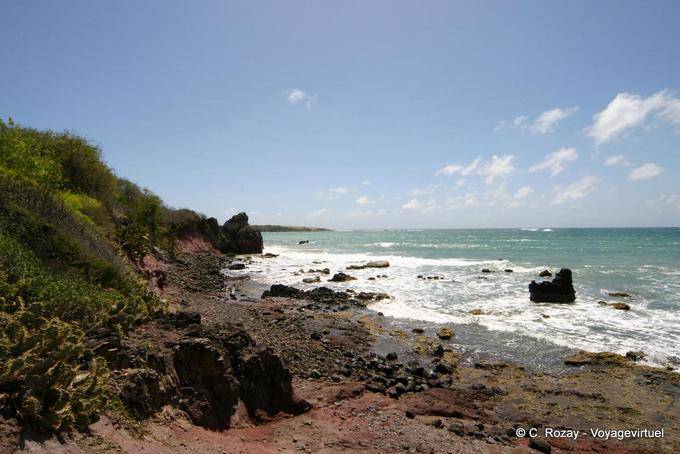 Rocky Point in der Nähe des Savannah von Versteinerungen - Martinique