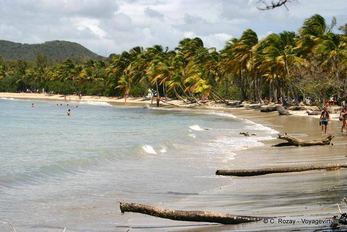 Ein Blick auf den Strand von der Spitze des Salines - Martinique