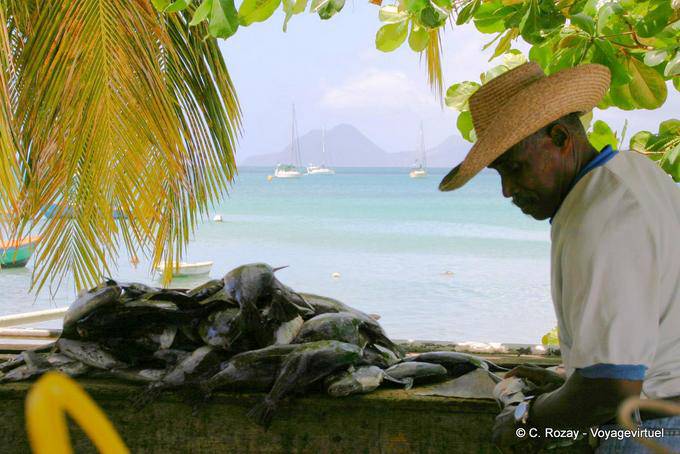 Fisherman Verkauf seiner Fisch - Martinique