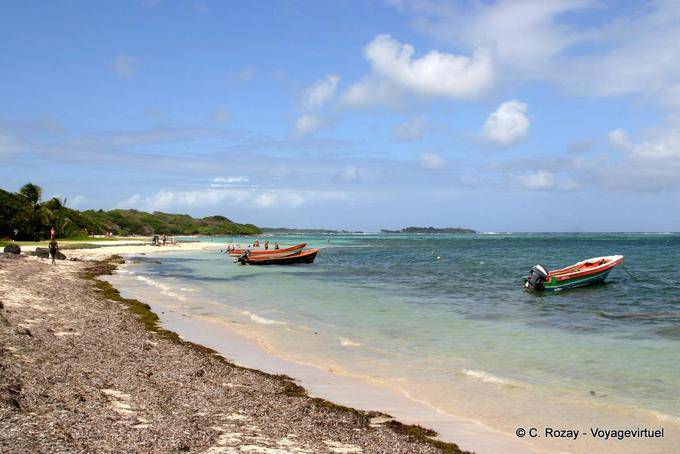 Anse Michel (Standort tbc) - Martinique