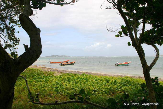 Baie du Cap Chevalier und Inselchen Chevalier - Martinique