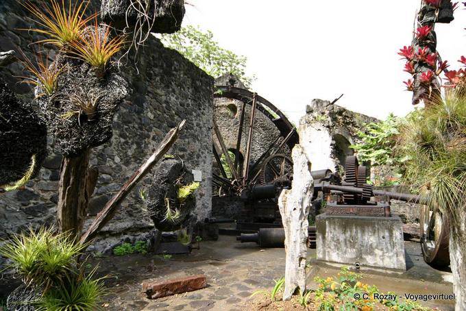 Ruinen der Mühle und Epiphyten, Habitation Anse Latouche - Martinique