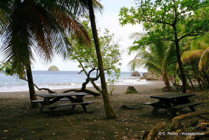 Das Inselchen Perle aus unter dem Meer Trauben und Kokosnüsse Anse Ceron gesehen - Martinique
