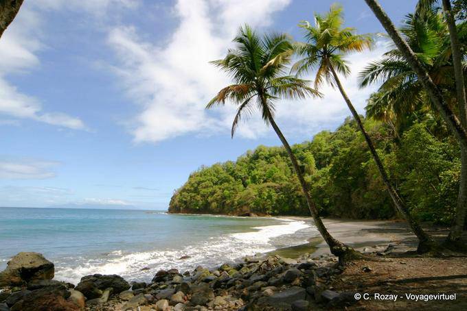 Im Schatten einer üppigen Natur Anse Couleuvre - Martinique