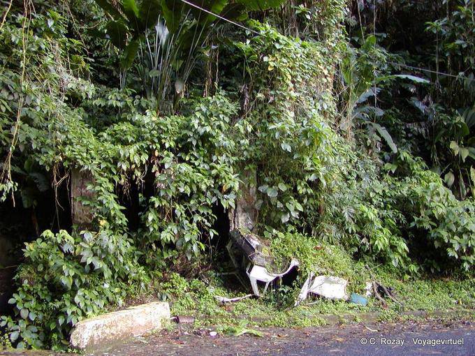 Grün Cemetery, Auto unter Vegetation begraben - Martinique
