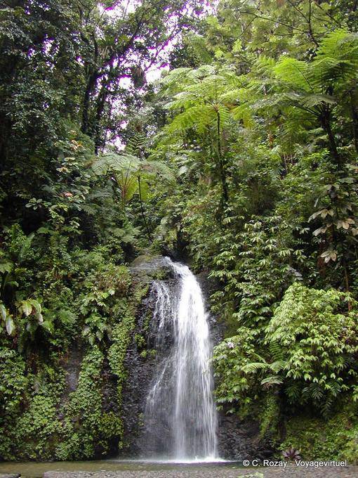 Der Wasserfall Saut Gendarme - Martinique