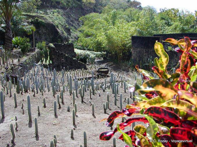 Habitation Anse Latouche, Plantage Ruinen von der Eruption des Mount Pelee zerstört - Martinique