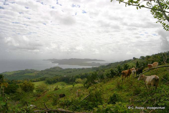Mit Blick auf die Halbinsel von La Caravelle von der Hoch - Martinique