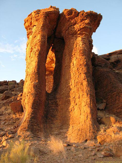 Stein Elefanten, Natur Cathedral Assaba, Mauretanien