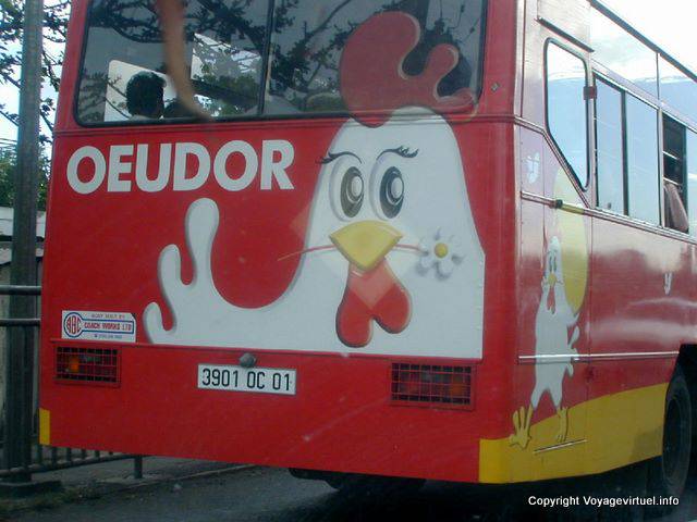 Oeudor, Werbung auf der Rückseite eines Busses, Mauritius.