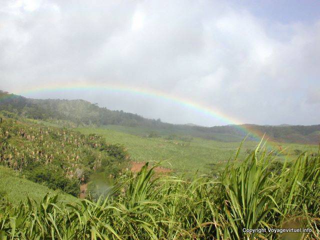 Arc-en-ciel in Zuckerrohrfeldern, Plaine Champagne, Mauritius.