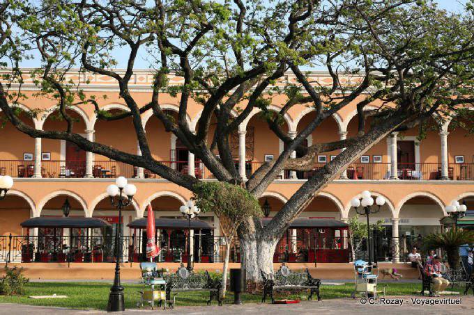 Baum vor den Arkaden Plaza de la Independencia, Campeche - Mexiko