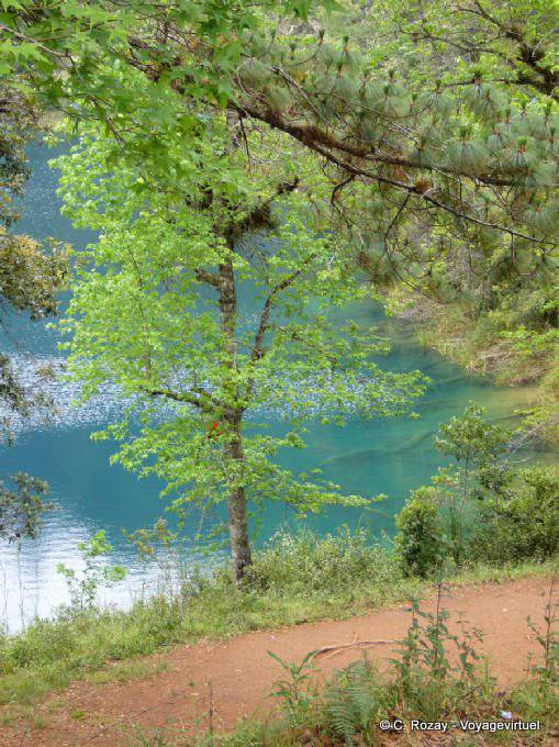 Harmonie der Farben, Laguna Azul, Lagunas de Montebello - Mexiko