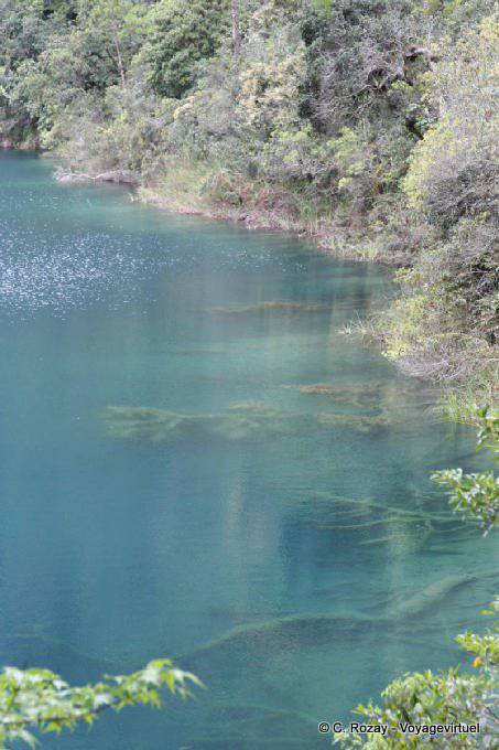 Transparente Wasser, Laguna Azul, Lagunas de Montebello - Mexiko