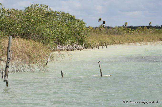 Lagoon Muyil - Mexiko